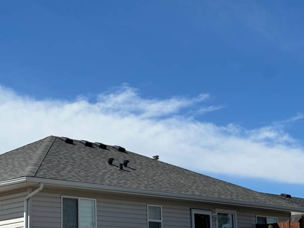 Best Flat Roofing  in Williamstown, WV